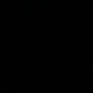 Meet your Posher, Ava